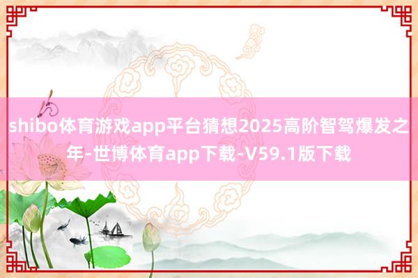 shibo体育游戏app平台猜想2025高阶智驾爆发之年-世博体育app下载-V59.1版下载