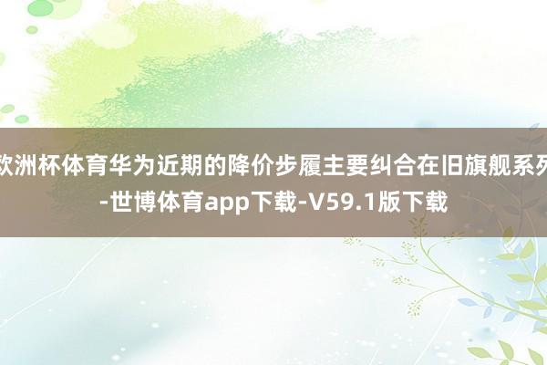 欧洲杯体育华为近期的降价步履主要纠合在旧旗舰系列-世博体育app下载-V59.1版下载